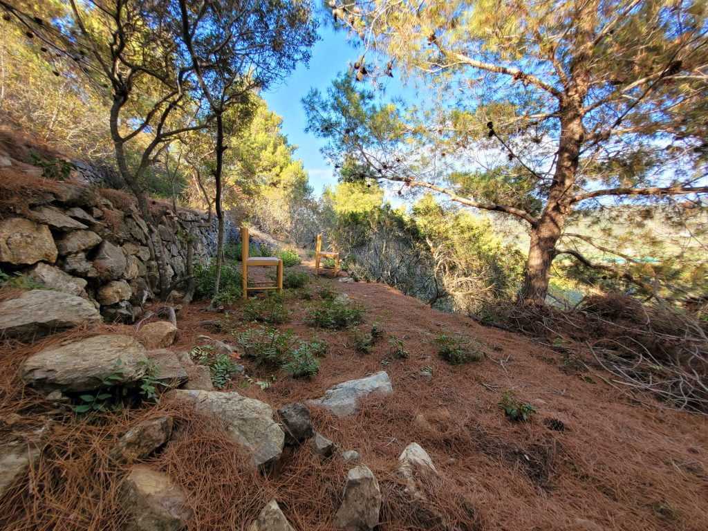 20220809 174833 scaled