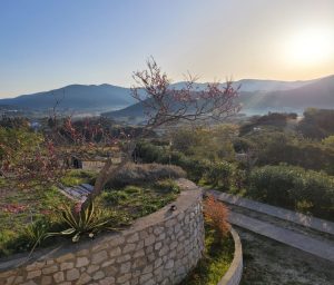 Elba Sonnenterrasse bei Sonnenaufgang