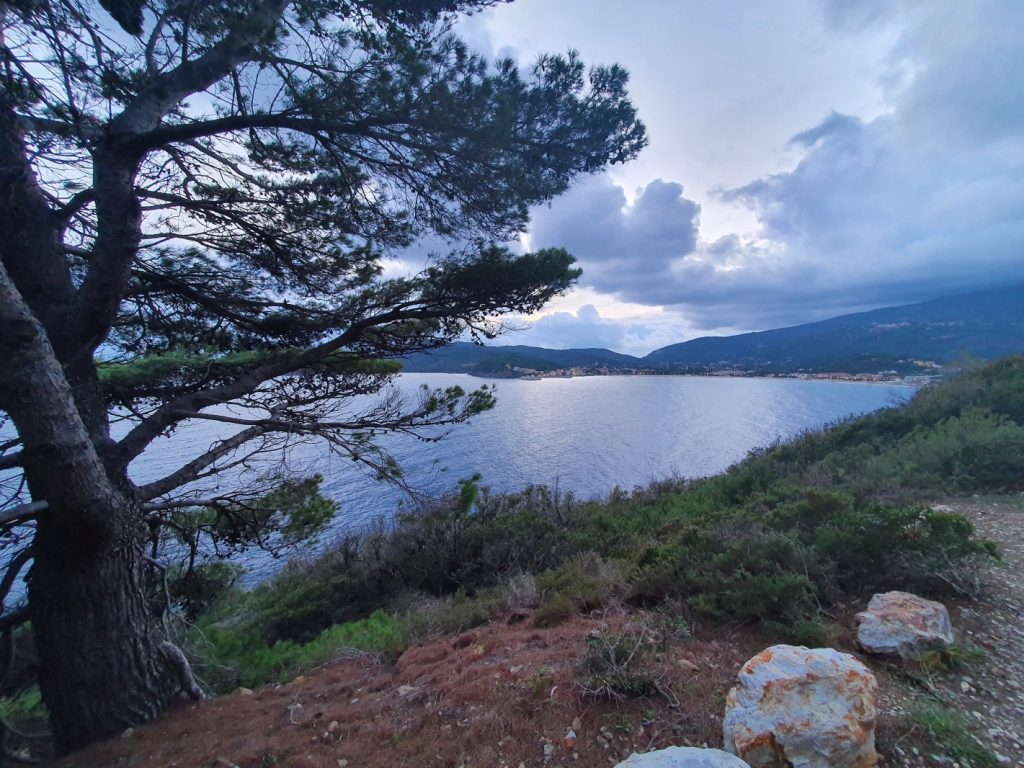 Elba-FeWo-Ferienhaus Ferienwohnung Blick in die Bucht von Marina die Campo